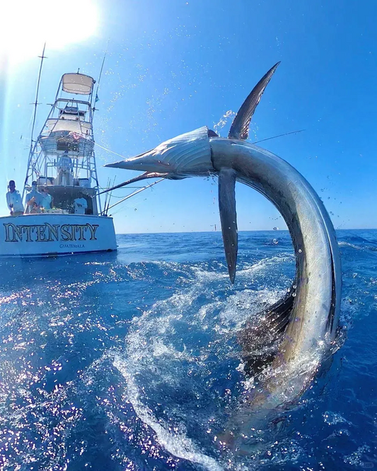 Fishing Destinations in the U.S. Every Angler Should Visit